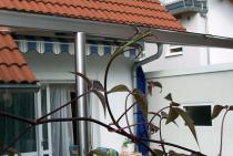 STN Nuernberg Waldkirch